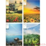 Папка пластикова А4 10 файлів "Nature of Ukraine" асорті Optima О32124